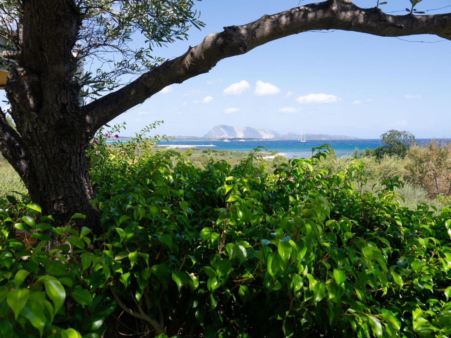 Villa Minda Lodge & View San Teodoro (Sardinia) Exterior foto